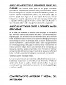 MUSCULO EXTENSOR CORTO Y EXTENSOR LARGO DEL PULGAR.