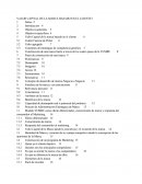 VALOR CAPITAL DE LA MARCA BASADO EN EL CLIENTE.