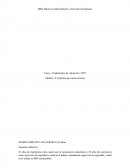 Casos – Fundamentos de valoración y DCF.