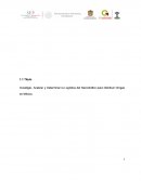 Logistica de Distribución del Narcotrafico en México.