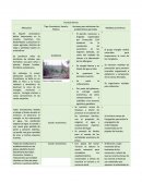 FENÓMENOS NATURALES.