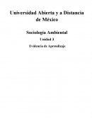 QUE ES LA SOCIOLOGIA Y PARA Q SIRVE