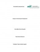 Que es La Comunicación Interpersonal