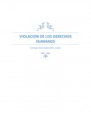 ENSAYO SOBRE LA VIOLACIÓN DE LOS DERECHOS HUMANOS