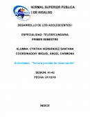Actividades: “Tercera jornada de observación”
