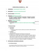 INFORME PERICIAL DE MONEDA.