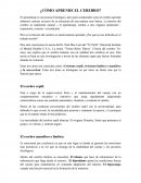 ¿COMO APRENDE EL CEREBRO? El aprendizaje es un proceso fisiológico