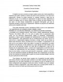 Las Teorias de las organizaciones.