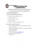 El Gran Plan de trabajo