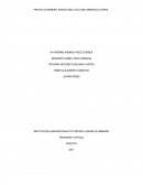 PROYECTO MINERO ANGOSTURA, ECO-ORO MINERALS CORPS