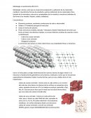 Metalurgia e investimentos 09-10-15