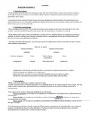 PLATÓN PARA SELECTIVIDAD.