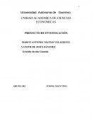 Competitividad de microempresas en el pueblo de Ixcateopan.