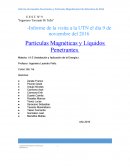 Particulas Magneticas y Liquidos penetrantes.