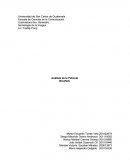 Análisis de la pelicula Ixcanuel