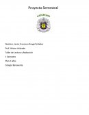 Reglas de ortografia. Proyecto Semestral