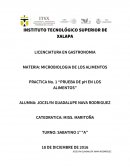 Microbiologia de los alimentos.