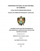 INFORME DE PRÁCTICAS PRE-PROFESIONALES REALIZADAS EN EL CENTRO DE SALUD DE SAN JUAN BAUTISTA-AYACUCHO
