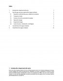 Tratamiento de aguas residuales en la fabricacion de azucar
