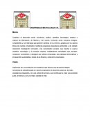 Carpeta de auditorias.