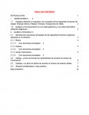 TRABAJO ACADEMICO QUIMICA ORGANICA