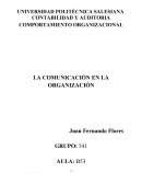La comunicacion en la organizacion.