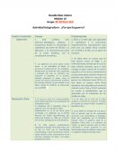 Actividad Integradora - ¿Por qué la guerra?