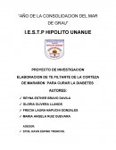 ELABORACION DE TE FILTANTE DE LA CORTEZA DE MARAÑON PARA CURAR LA DIABETES