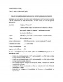 Desarrollando una oportunidad de negocios.