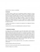 Auditoría del IVA, en relación a la contabilidad.