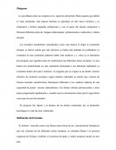 ORIGEN DE LA RAZA BLANCA