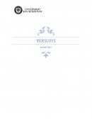 Caso practico versluys marketing