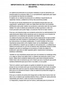 IMPORTANCIA DE LOS SISTEMAS DE PRODUCCIÓN EN LA INDUSTRIA.