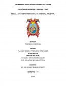 PLAN DE NEGOCIO PRODUCTOS ORGANICOS “ALDEA NATIVA”