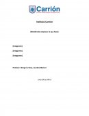 RESUMEN EJECUTIVO LA IDEA EMPRESARIAL