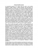 Ensayo semillas esclavas