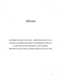 INFORME DE PRÁCTICAS PRE – PROFESIONALES EN LA OFICINA DE PROGRAMACIÓN E INVERSIONES. Página 2