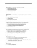 Energia eolica. ¿Cuál de las siguientes zonas no se considera óptima a la hora de instalar un aerogenerador?