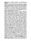 Modelo Constitución de empresa