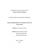 FIDEICOMISO MERCANTIL DE GARANTÍA DE VEHICULOS