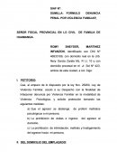 Homicidio culposo - practica unsch