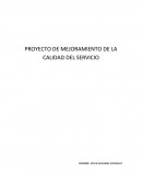 PROYECTO DE MEJORAMIENTO DE LA CALIDAD DEL SERVICIO