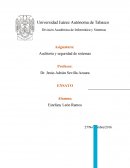 Importancia de la Auditoria de Sistemas