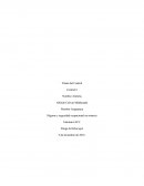 Higiene y seguridad ocupacional en minería