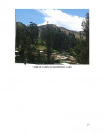 INFORME DE PRÁCTICAS PRE – PROFESIONALES EN LA OFICINA DE PROGRAMACIÓN E INVERSIONES. Página 21