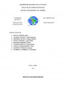 COMERCIO ELECTRONICO EN LOS HOTELES 3 ESTRELLAS EN LA CIUDAD DE PUNO