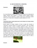 EL USO DE HONGOS EN LA INDUSTRIA.