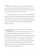 Aplicación e identificación de factores críticos de éxito (FCE) en la Clínica MEDIPORT.