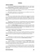 TURBINA ¿QUÉ ES LA TURBINA?