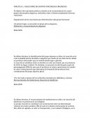 PRÁCTICA 2.- REACCIONES DE GRUPOS FUNCIONALES ORGÁNICOS